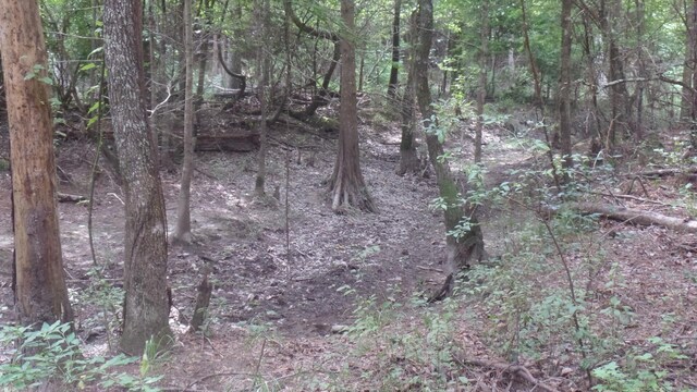 38.655AC County Road 20, Jasper, TX 75951