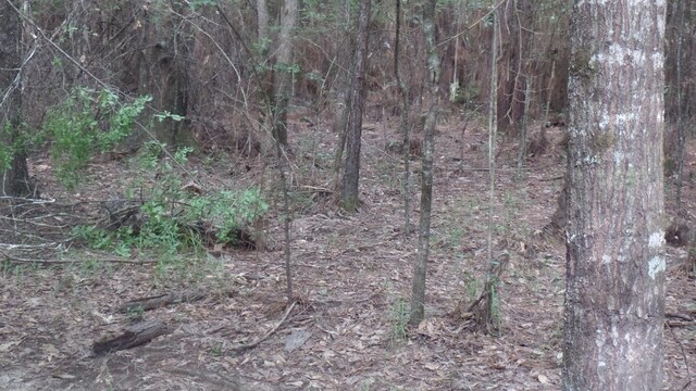 38.655AC County Road 20, Jasper, TX 75951
