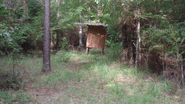 38.655AC County Road 20, Jasper, TX 75951