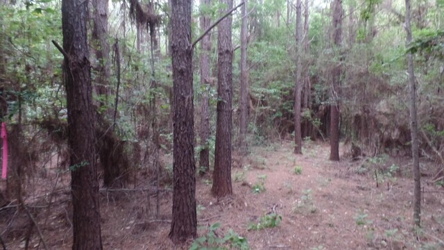 38.655AC County Road 20, Jasper, TX 75951