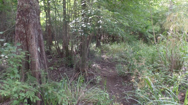 38.655AC County Road 20, Jasper, TX 75951