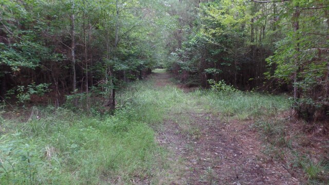 38.655AC County Road 20, Jasper, TX 75951
