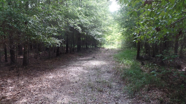 Listing photo 3 for 38.655AC County Road 20, Jasper TX 75951