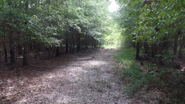 38.655AC County Road 20, Jasper, TX 75951