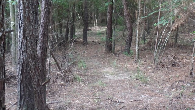 38.655AC County Road 20, Jasper, TX 75951