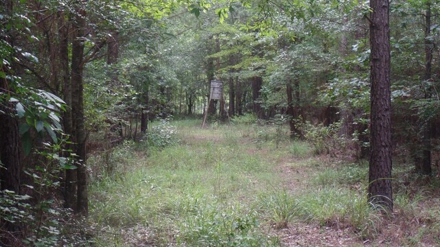 38.655AC County Road 20, Jasper, TX 75951