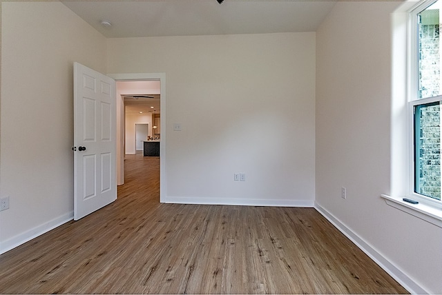 unfurnished room featuring light hardwood / wood-style floors and a wealth of natural light