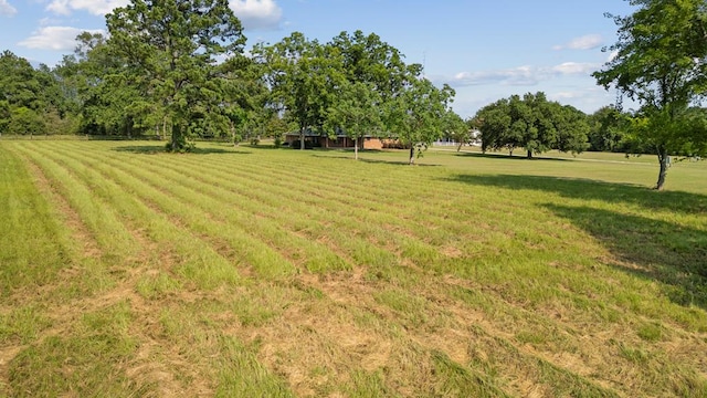 view of yard with a rural view