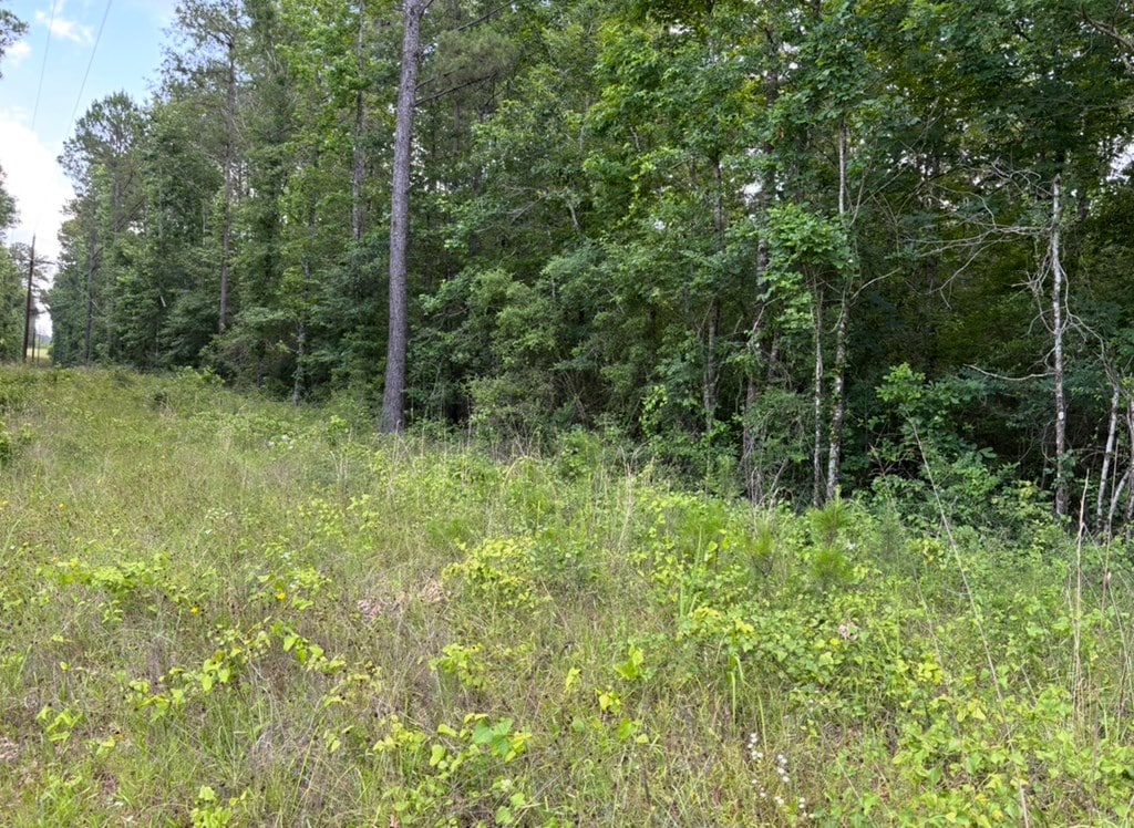 1484 State Highway 21e, Hemphill, TX 75948