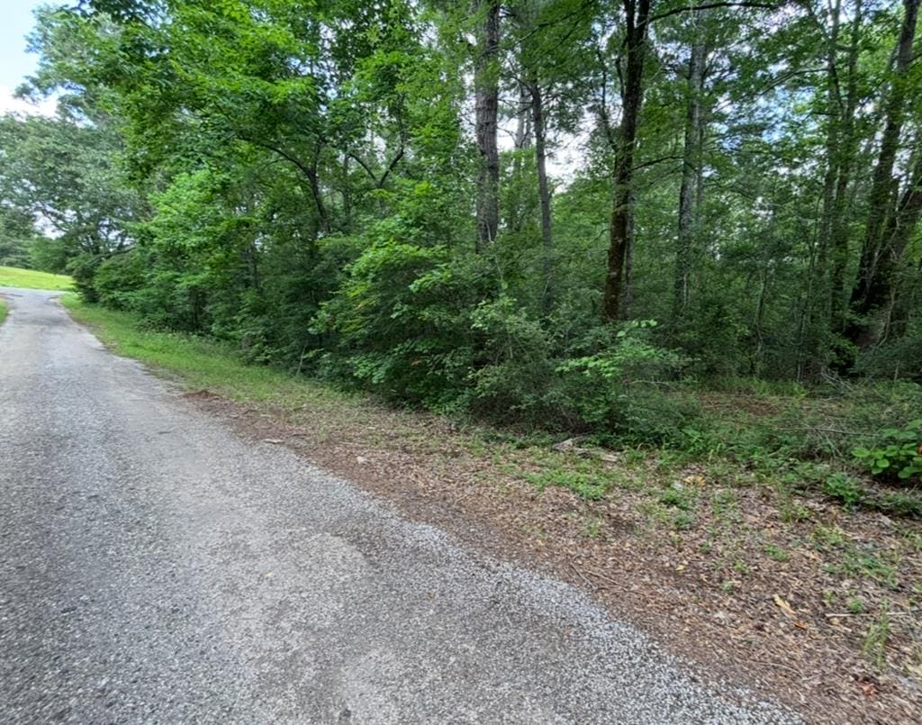 1484 State Highway 21e, Hemphill, TX 75948