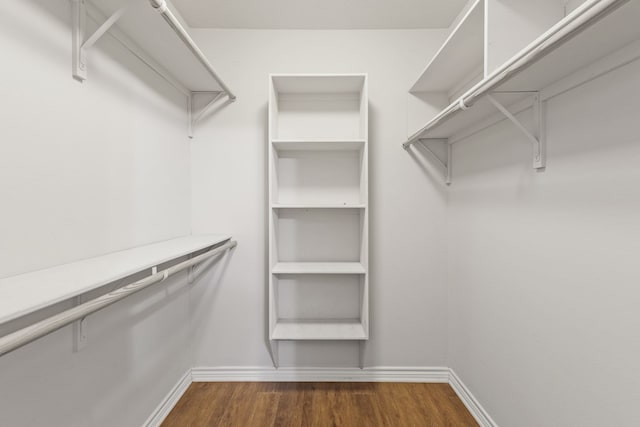 801 Dove Run Trl, College Station, TX 77845 - spacious closet with dark wood-type flooring