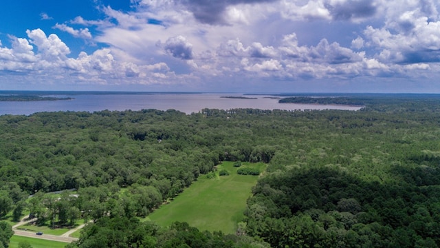 PARCELID74782 Fm 2801, Huntington, TX 75949 - photo 4