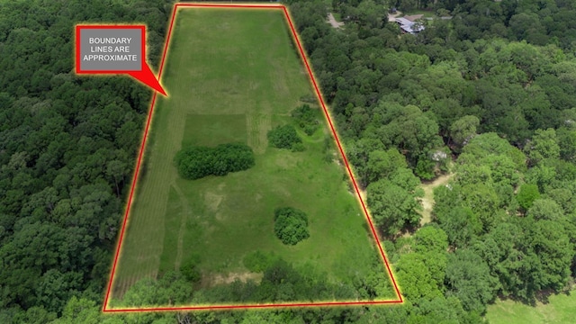 PARCELID74782 Fm 2801, Huntington, TX 75949 - photo 3