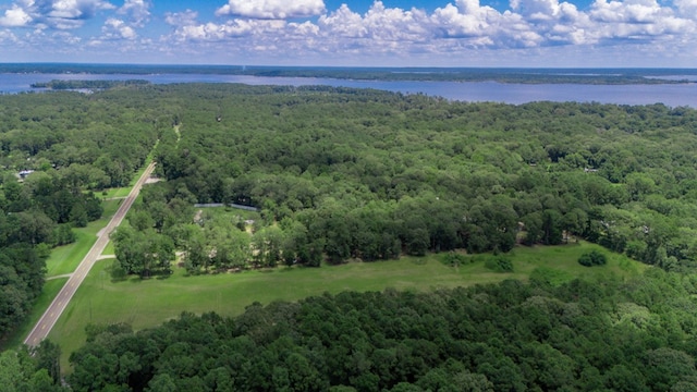 PARCELID74782 Fm 2801, Huntington, TX 75949 - photo 14
