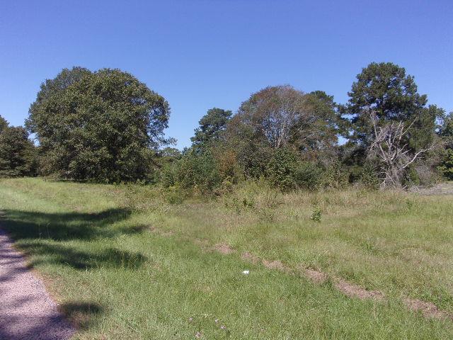 4586 Morris Rd, Jasper TX, 75951 land for sale