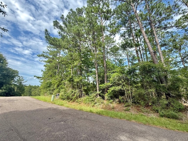 ID32495 Victoria Dr, Brookeland, TX 75951 - photo 5