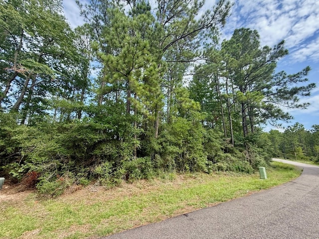 ID32495 Victoria Dr, Brookeland, TX 75951 - photo 4