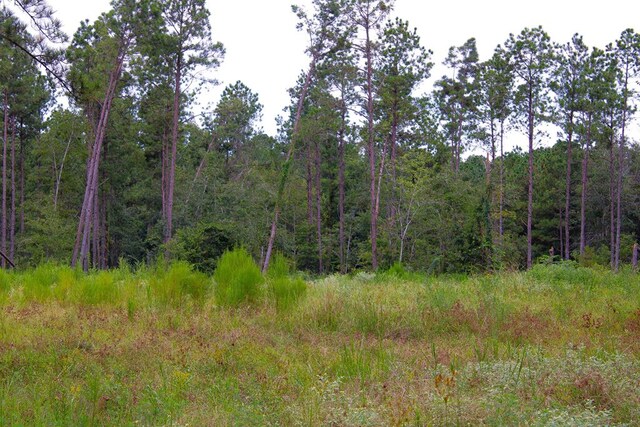 PID29607 Ben Dunn Rd, Hudson TX, 75904 land for sale