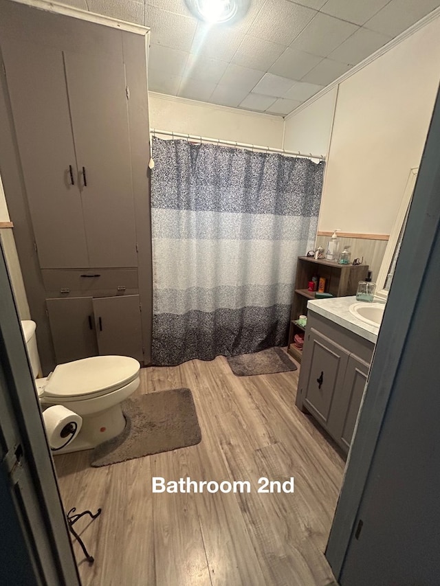 bathroom featuring wood-type flooring, vanity, and toilet