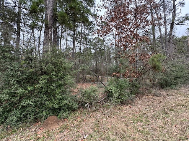R31247 County Rd, Goodrich, TX 77335