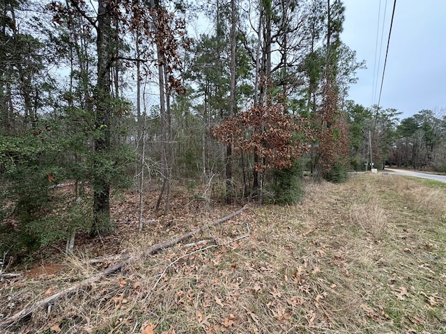 R31247 County Rd, Goodrich, TX 77335