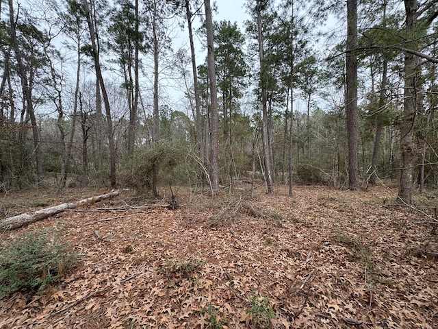R31247 County Rd, Goodrich, TX 77335