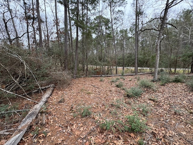 R31247 County Rd, Goodrich, TX 77335