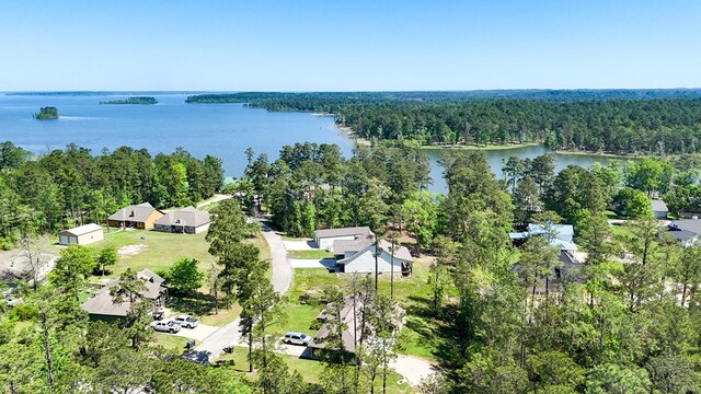 3640 Wingate Blvd, Brookeland, TX 75931 - aerial view of a heavily wooded area and a large body of water