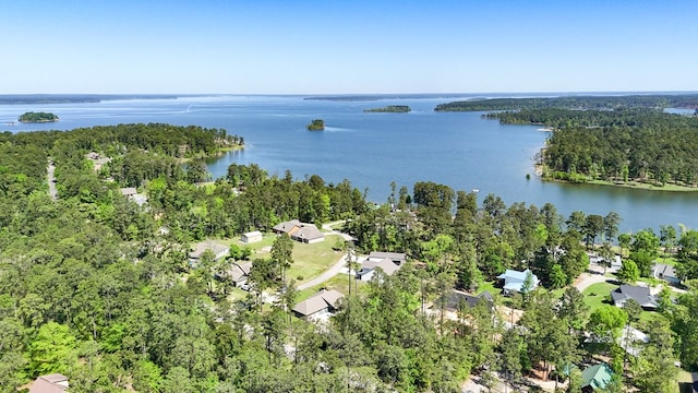 3640 Wingate Blvd, Brookeland, TX 75931 - view of property location featuring a forest and a nearby body of water