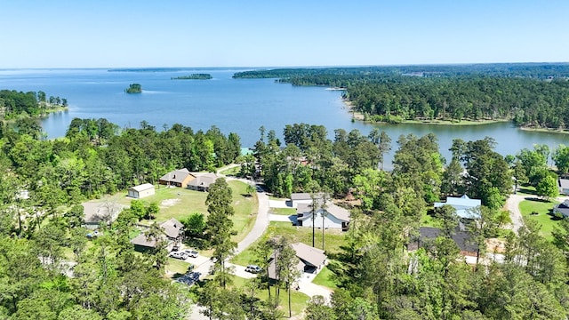 3640 Wingate Blvd, Brookeland, TX 75931 - drone / aerial view of a large body of water and a forest