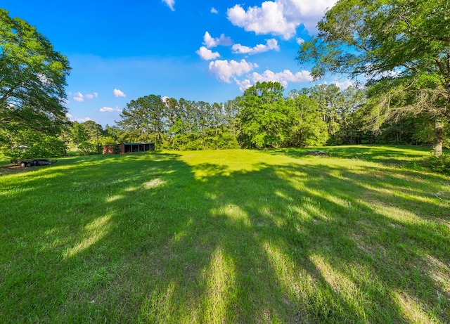 8373 State Highway 103, Bronson, TX 75930 - photo 27