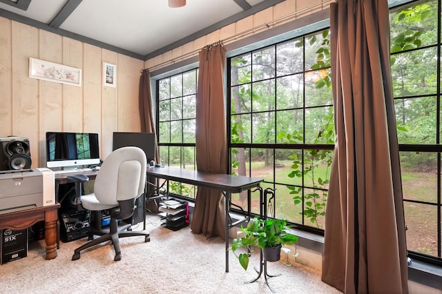 office featuring wood walls and carpet