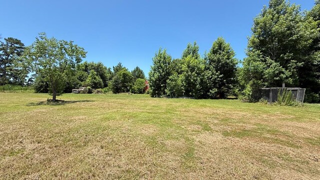 295 County Road 810, Buna, TX 77612 - photo 8