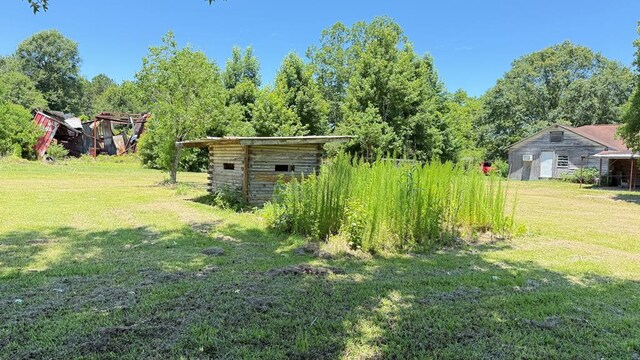295 County Road 810, Buna, TX 77612 - photo 11