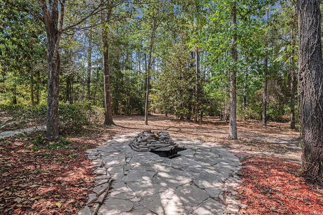 3234 Fm 1746, Woodville, TX 75979 - photo 11