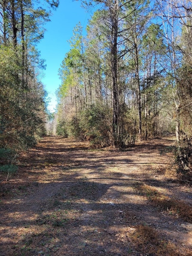 10433A14TR16 County Road 4110, Call TX, 75933 land for sale