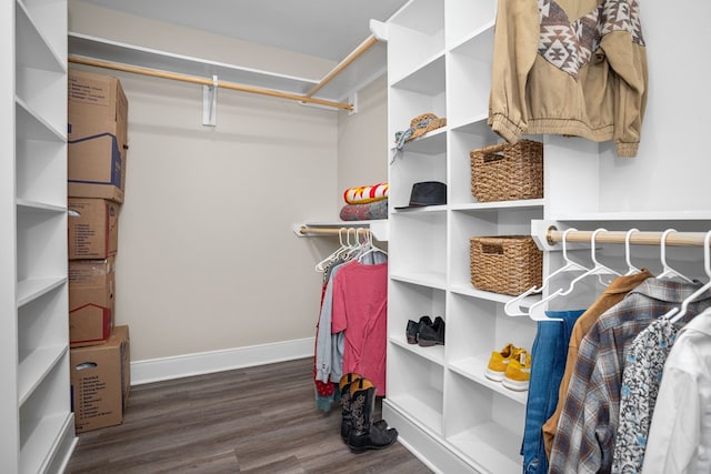 spacious closet featuring dark wood-type flooring