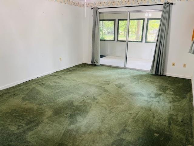 spare room featuring carpet flooring