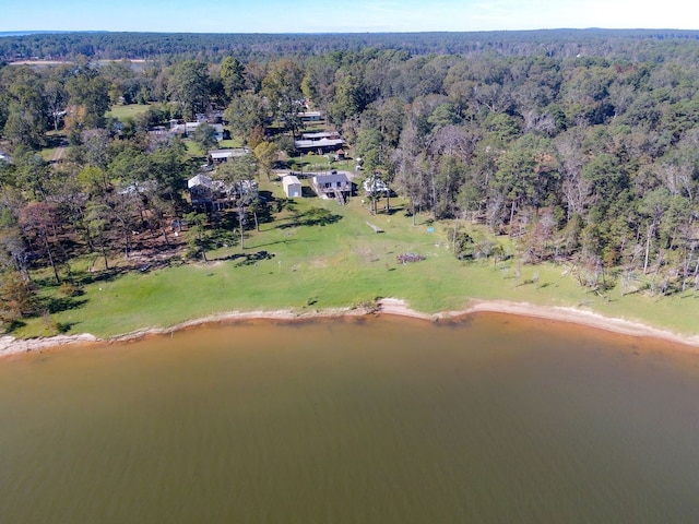bird's eye view with a view of trees and a water view