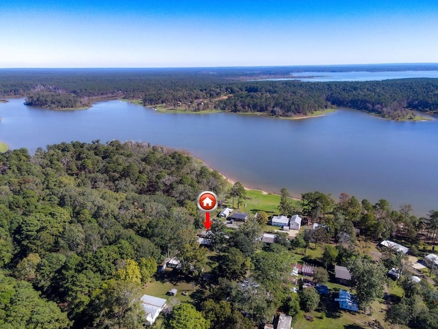 drone / aerial view featuring a view of trees and a water view