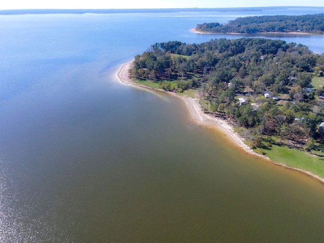 bird's eye view featuring a water view and a wooded view