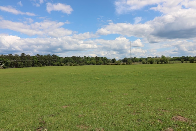 view of local wilderness featuring a rural view