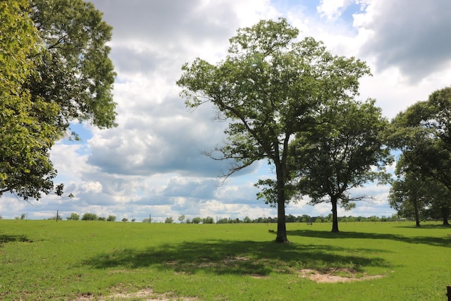 view of local wilderness featuring a rural view