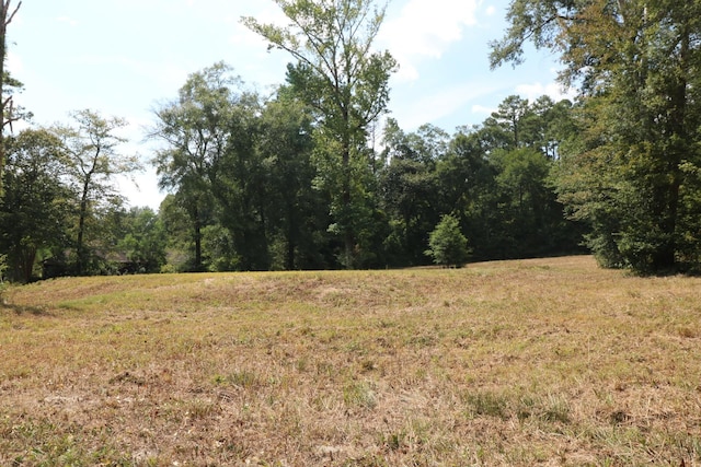 LOTS3-4 18-20 Willow Dr, Jasper TX, 75951 land for sale