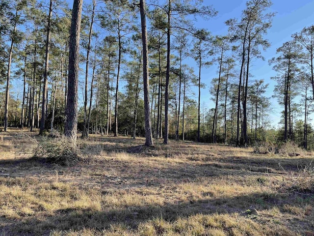 TRACT1-5 Private Road 6028, Brookeland, TX 75931