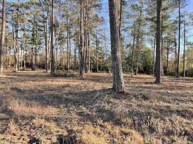TRACT1-5 Private Road 6028, Brookeland, TX 75931