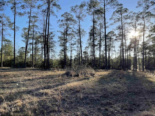 TRACT1-5 Private Road 6028, Brookeland, TX 75931