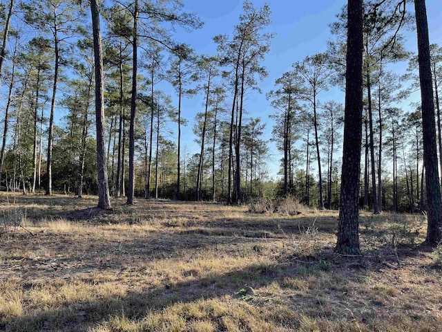 TRACT1-5 Private Road 6028, Brookeland, TX 75931