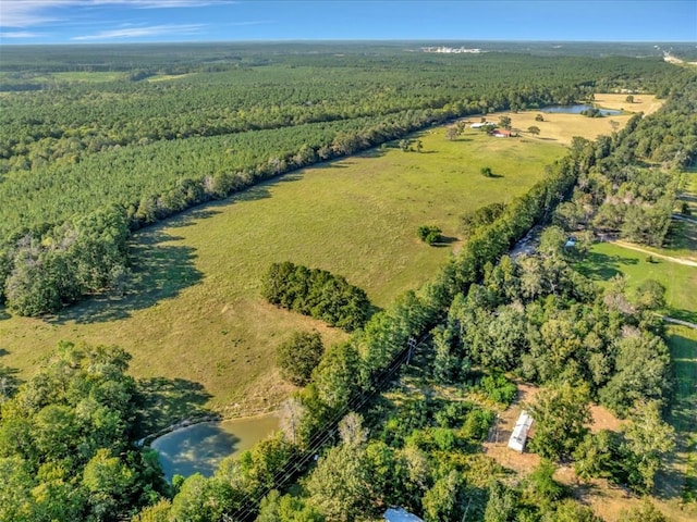 128 Tamie Lowe Rd, Moscow, TX 75960 - view of property location featuring a forest and a large body of water