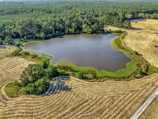 128 Tamie Lowe Rd, Moscow, TX 75960 - aerial view of a forest and a large body of water